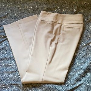 Express Taupe Wide Waistband Flare Leg Dress Pants